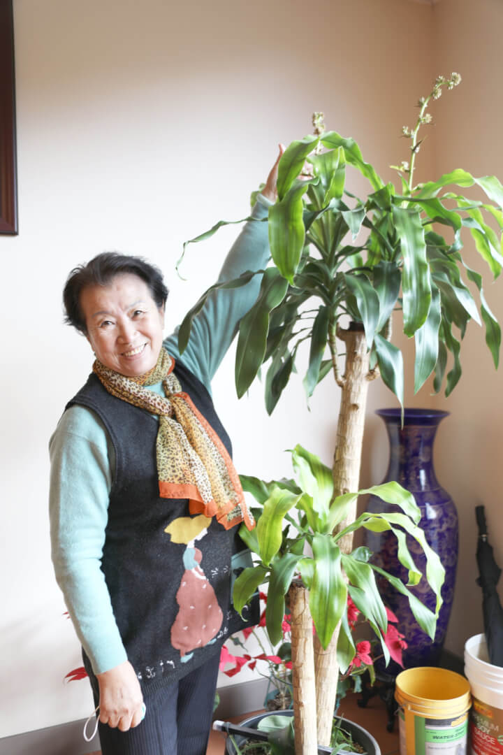 辛麗茹